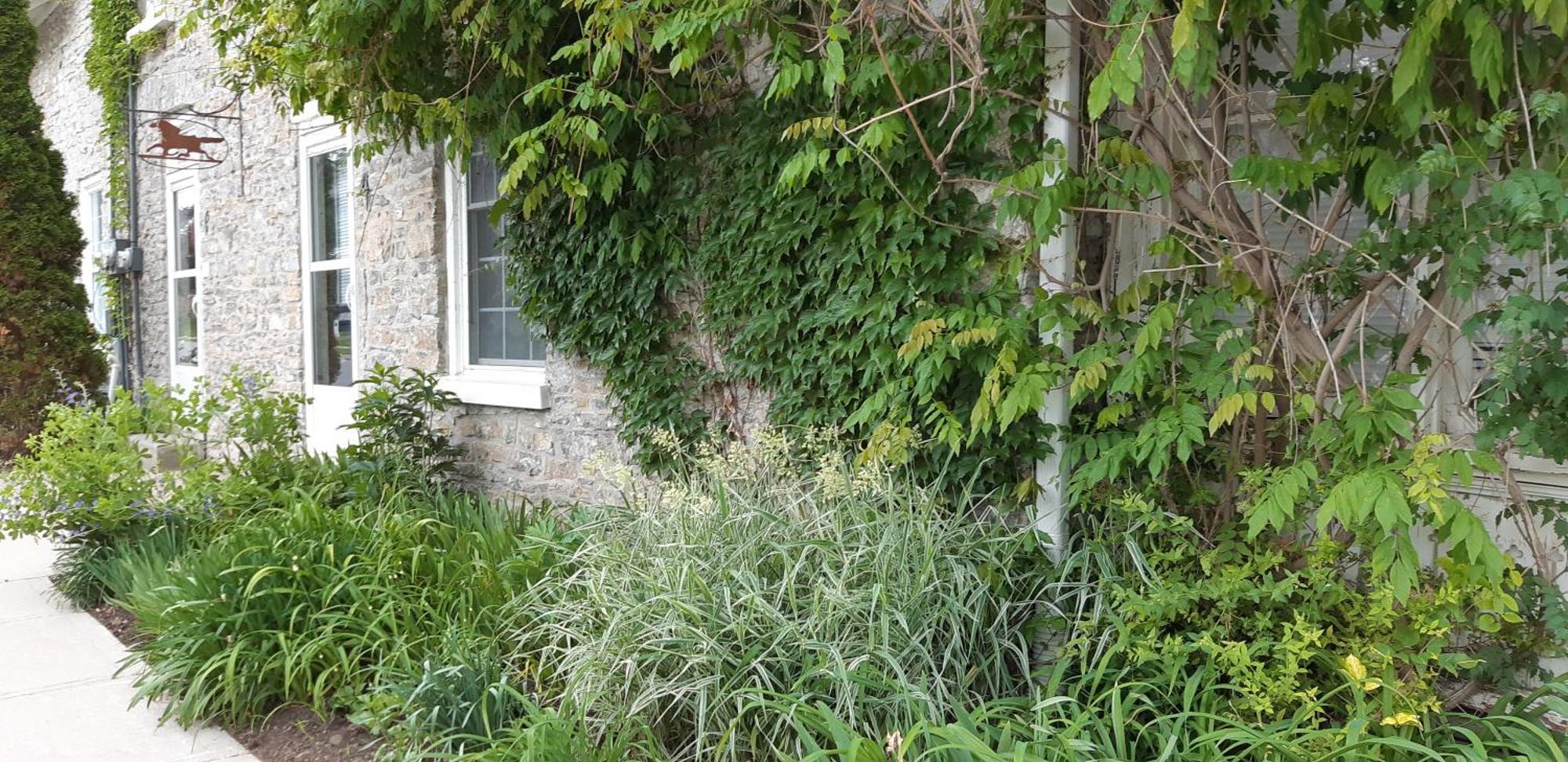 Villa Stone Carriage House Picton Exterior foto
